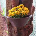 Ver imagem 3 de Vaso Planta 40x15 Parede Polietileno BGPLASTICOS MARROM CAFE 003