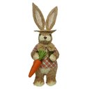Ver imagem 1 de Coelho Pascoa Decor em Pe Palha C/cenoura 42cm