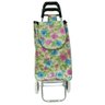 Carrinho de Feira Multiuso 95x45cm Mod16 - Quanhe - 1