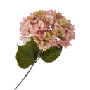 Ver imagem 1 de Flor Artificial Hortência
