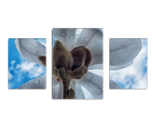 Trio de quadros decorativos Compact Slim Céu 110x60cm - 1