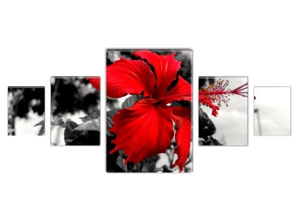 Conjunto quadros decorativos Classic Slim Flower 140x60cm - 1