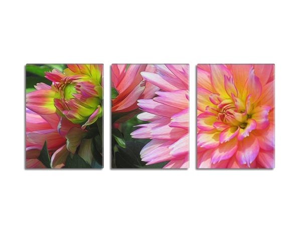 Trio de quadros decorativos Flores Pequeno 95x40cm - 1