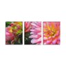 Trio de quadros decorativos Flores Pequeno 95x40cm - 1