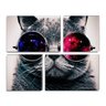 Conjunto de 4 quadros decorativos Cat Style 105x85cm - 1