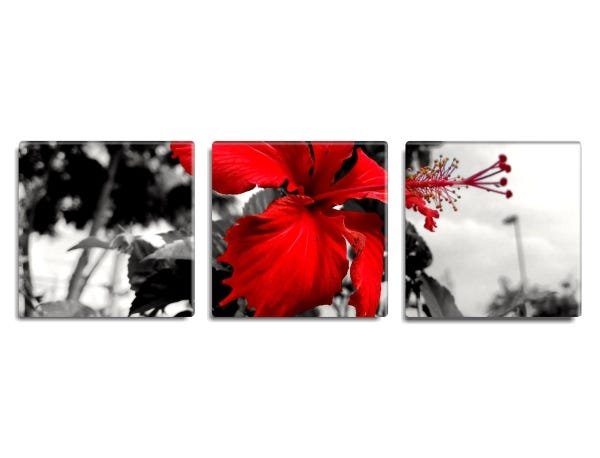 Trio de quadros decorativos Petit Slim Flower 130x40 - 1