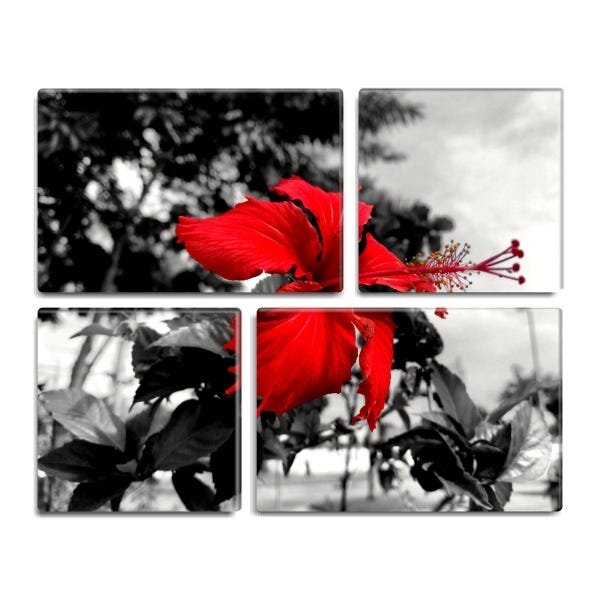 Conjunto de 4 quadros decorativos Slim Flower 105x85cm - 1