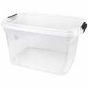 Ver imagem 2 de Organizador Plástico Sanremo 29L com Tampa SR941