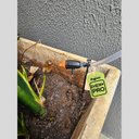 Ver mais imagens de Dreno Coletor com Gotejador Ar Condicionado 8l