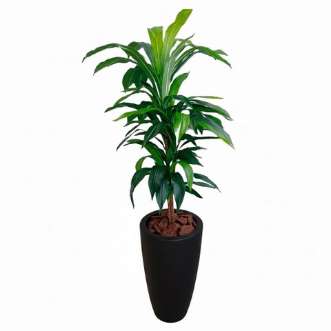 Árvore Artificial Dracena Toque Real 120cm com Vaso Vietnamita Preto Fosco