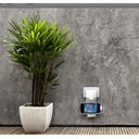 Ver imagem 4 de Kit com 3 - Suporte de Celular para Parede