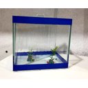 Ver imagem 3 de Aquário Beteira com Repartição Mágica