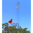 Ver imagem 1 de Bebedouro Gigante De Vidro Para Pássaros Ar Livre 200 Ml