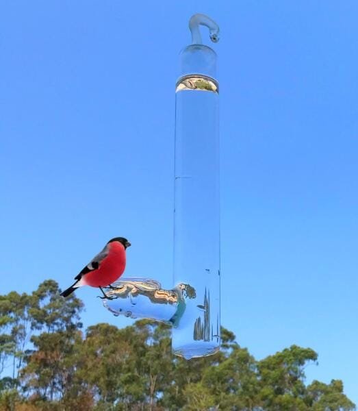 Bebedouro Gigante De Vidro Para Pássaros Ar Livre 200 Ml - 1