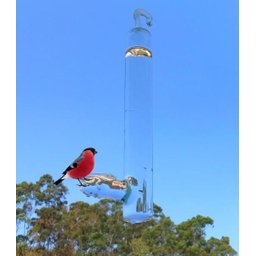 Bebedouro Gigante De Vidro Para Pássaros Ar Livre 200 Ml - 1
