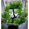Vaso Planta Artificial Verde Bonsai Flores Decoração Mesa - 7