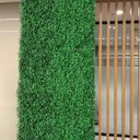 Ver imagem 2 de 17 Placas de Buxinho Painéis 60x40 Cada Indicados para Áreas Cobertas Decoração de Jardins Verticais