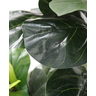Arvore Planta Permanente Verde Ficus Lyrata 90cm Sala Decor - 2