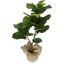 Ver imagem 1 de Arvore Planta Permanente Verde Ficus Lyrata 90cm Sala Decor