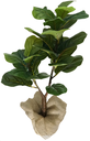 Ver imagem 1 de Arvore Planta Permanente Verde Ficus Lyrata 90cm Sala Decor