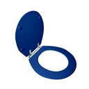 Ver imagem 2 de Assento Sanitário Poliéster para Louça Ravena (deca) Aço (reb. Oculto) Azul