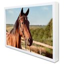 Ver imagem 2 de Quadro Decorativo Cavalo de Perfil  em Moldura Caixa Tacolado Moldura Trad 1cm Madeira Escura sem Vi