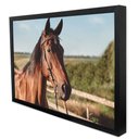 Ver imagem 3 de Quadro Decorativo Cavalo de Perfil  em Moldura Caixa Tacolado Moldura Trad 1cm Madeira Escura sem Vi