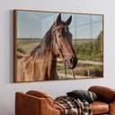 Ver imagem 1 de Quadro Decorativo Cavalo de Perfil  em Moldura Caixa Tacolado Moldura Trad 1cm Madeira Escura sem Vi