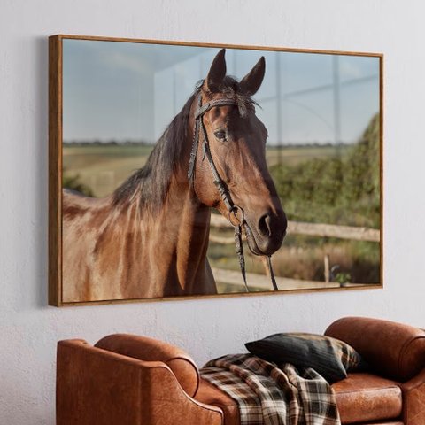 Quadro Decorativo Cavalo de Perfil  em Moldura Caixa Tacolado Moldura Trad 1cm Madeira Escura sem Vi