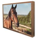 Ver imagem 4 de Quadro Decorativo Cavalo de Perfil  em Moldura Caixa Tacolado Moldura Trad 1cm Madeira Escura sem Vi