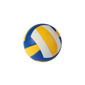 Bola de Volei Profissional:branco/unissex/5
