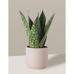 Vaso Cachepô de Cerâmica para Plantas Creme PEQ - 7