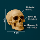 Ver imagem 2 de Enfeite Decorativo Cabeça Crânio Caveira Realista Min 6cm Presente Halloween Anatomia Óssea
