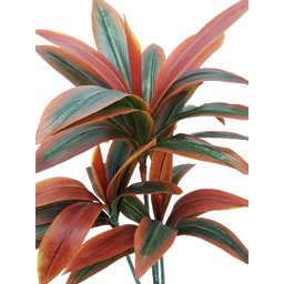 Planta Artificial Dracena Bronze 1,30 Metros de Altura - 2
