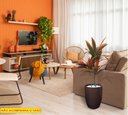 Ver imagem 3 de Planta Artificial Dracena Bronze 1,30 Metros de Altura
