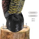 Ver imagem 7 de Coruja Solar Barulho Realista Acende Olhos Repelente Afasta Praga Aves Animais Sensor Presença Movim