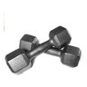 Halter Par 4 Kgs Pesos Musculação Anilhas Dumbell Fitness - 1