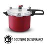 Panela Rochedo Pressao Segura 4,5l Ep45 - 9