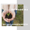 Ver imagem 7 de Sapateira 2 Portas com Espelho Carraro