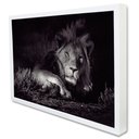 Ver imagem 2 de Quadro Decorativo Leão Preto e Branco em Moldura Caixa Tacolado Moldura Trad 1cm Branca com Vidro 30