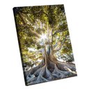 Ver imagem 1 de Quadro Árvore Presença