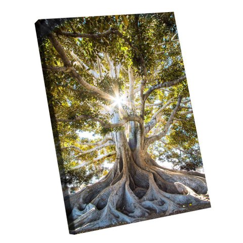 Quadro Árvore Presença