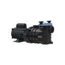Ver imagem 1 de Motobomba para Piscina 1 1/2 Polegada Eko 1cv 220/380v
