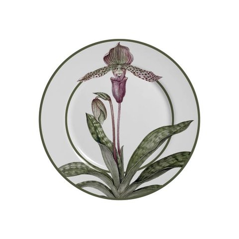 Conjunto com 6 Pratos Sobremesa Orquideas Plus