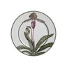 Conjunto com 6 Pratos Sobremesa Orquideas Plus - 1