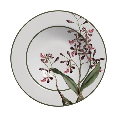 CONJUNTO COM 6 PRATOS FUNDO ORQUIDEAS PLUS