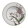 CONJUNTO COM 6 PRATOS FUNDO ORQUIDEAS PLUS - 1