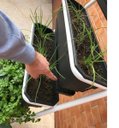 Ver imagem 4 de Plante Em Casa, Horta, Jardineira Apto 3 Vasos 40 Cm AL261