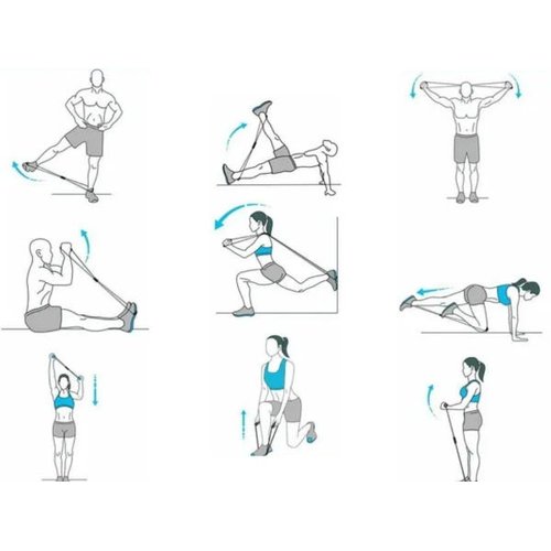 exercícios de musculação para bíceps e tríceps
