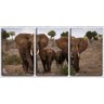 Quadro Decorativo 30x66 família de elefantes na savana - 1